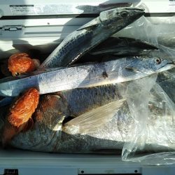 康仁丸・ジギング釣り果